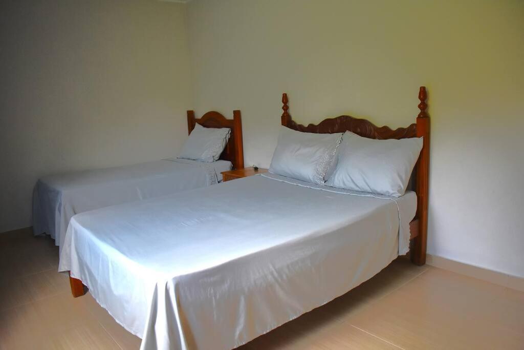 נובה פריבורגו Casa Espetacular No Centro Da Serra מראה חיצוני תמונה